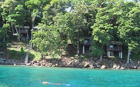 Treetop Guesthouse And Bungalows