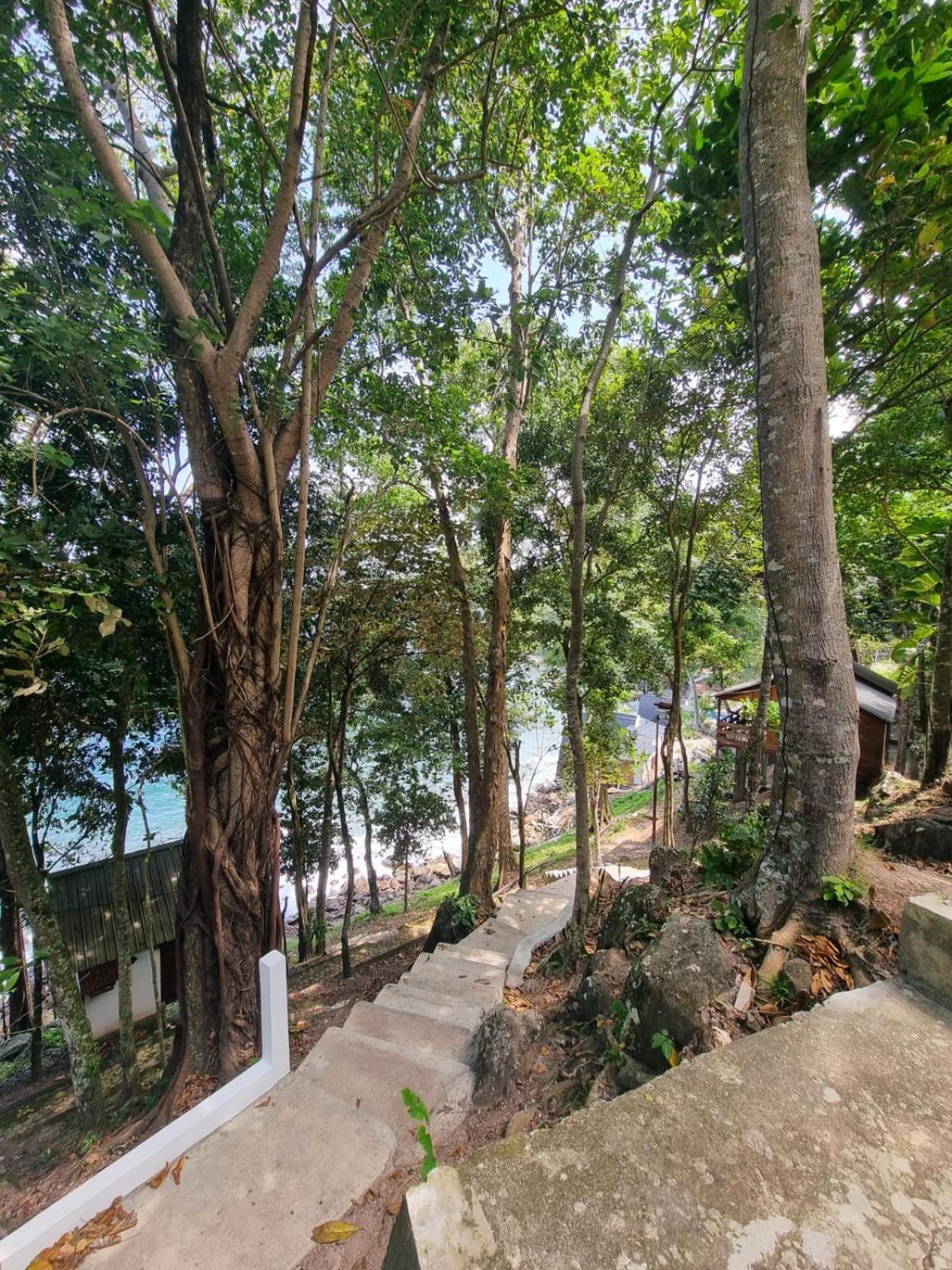 Treetop Guesthouse And Bungalows Sabang  Bagian luar foto