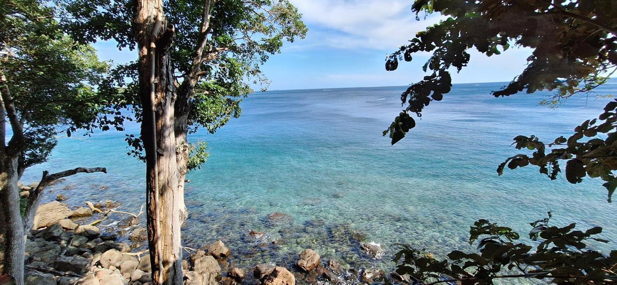 Treetop Guesthouse And Bungalows Sabang  Bagian luar foto